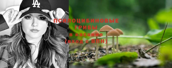 ALPHA-PVP Мегион