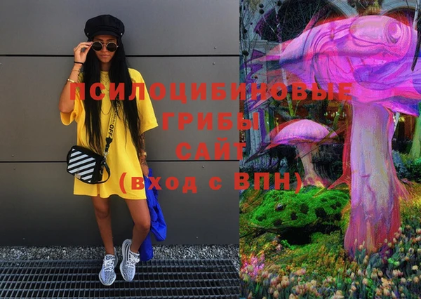 гидра Михайлов