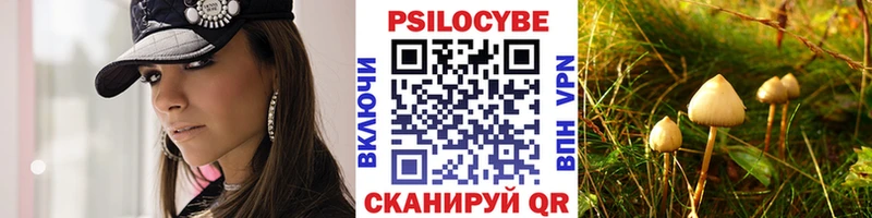 Купить где  Таганрог  Галлюциногенные грибы мицелий 